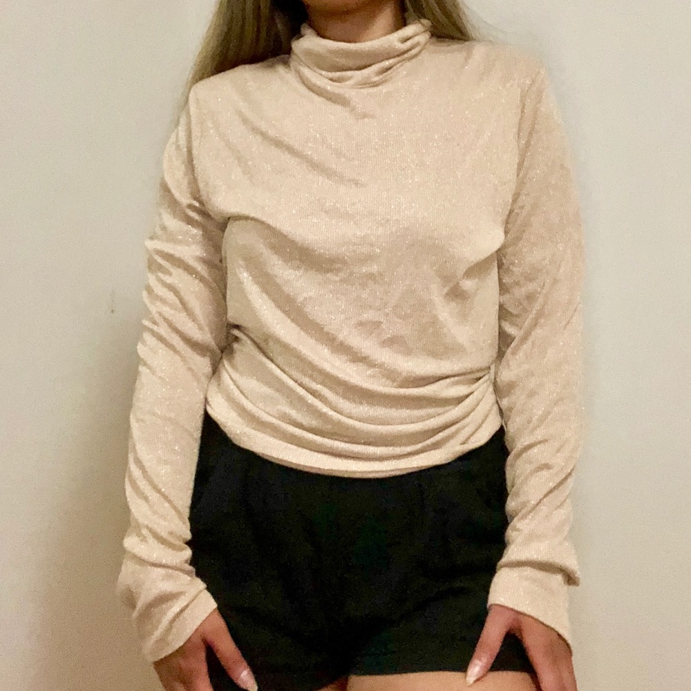 Long Sleeve Turtle Neck